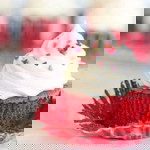 Cupcake Angus profile icon