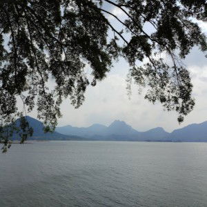 Rini Puji Astuti profile icon