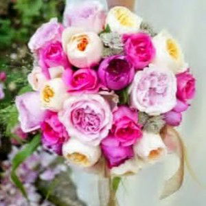 Myralyn Palulla profile icon