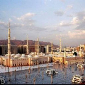 Kuzma Yadi profile icon