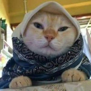 Bunengfay profile icon