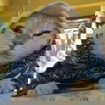 Bunengfay profile icon