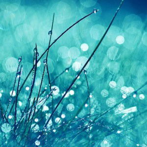 Rizka S Juwita profile icon