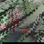 รัชดาพร เศิกศิริ profile icon