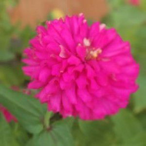 Ati Selviana profile icon