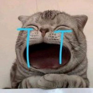 ลัง เล profile icon