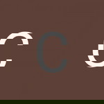 Chanthima Khampong profile icon