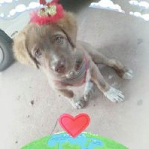 กระเช้า กระเช้า profile icon