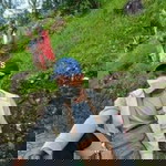 Cram Cram profile icon