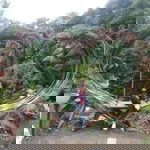 Reynabelle Lutrania Sanglay profile icon