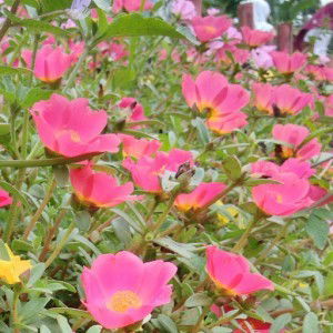 Rewin28 __ profile icon