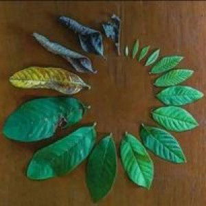 nunung kristiana profile icon