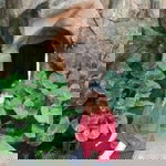 Puttarat Prasanphan profile icon