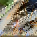 Amphika Wetchsutus profile icon