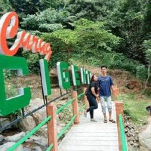 Argo Argo profile icon