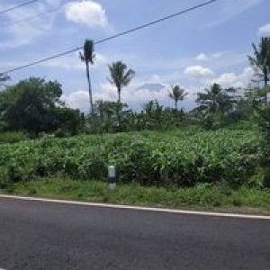 ida purwanti profile icon