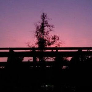 Nur Ain Natasah Razimat profile icon