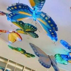 Firna Noweldin profile icon