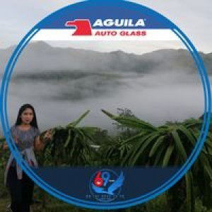 Cath Llamera profile icon