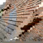 Tip Nunnaphat profile icon