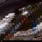 Wan Magdalena Bahari profile icon