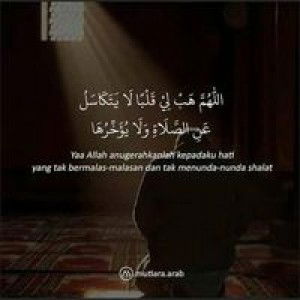 Aina Bojone Alim profile icon