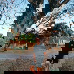 Christle profile icon