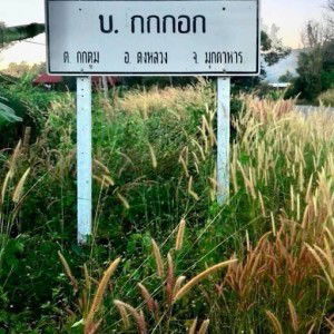 อิสานลัดท่ง หาอยากหากิน profile icon