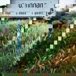 อิสานลัดท่ง หาอยากหากิน profile icon