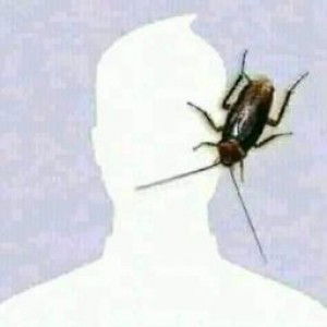 Wiwit190299 profile icon