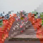 Felicia Amanda Inez profile icon