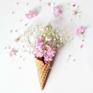 Anis Labiba profile icon