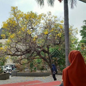 Wulan Nurul Akmal profile icon