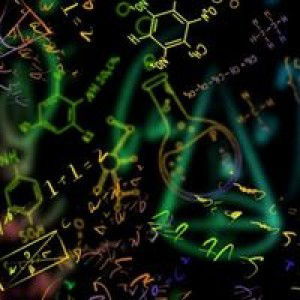 Alex Rins profile icon