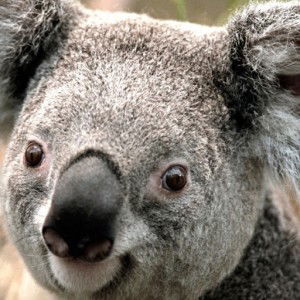 Kamonwan profile icon