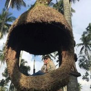 Nur Elyani profile icon