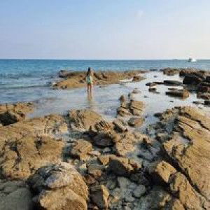 Piyanut Khaisang profile icon