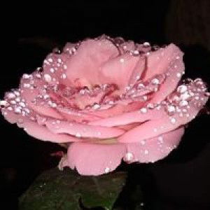 Endah Yuli profile icon