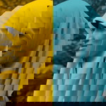 Anggun Sari profile icon