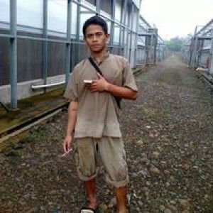 Nulmonmon profile icon