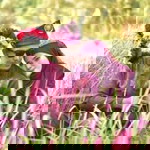 Nor Mursyidah profile icon