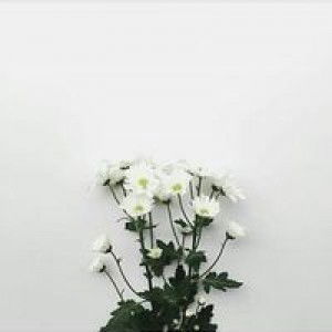 Laila Hikmawati profile icon