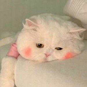 Herawati008 profile icon