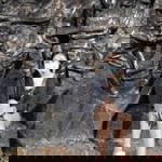 Pau Catada profile icon