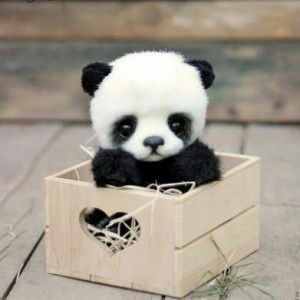 abc def profile icon