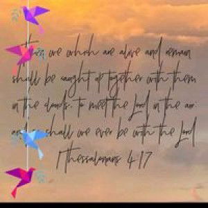 Jake Faith Beruan Culaste profile icon