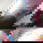 Mayang Putri Parisha profile icon