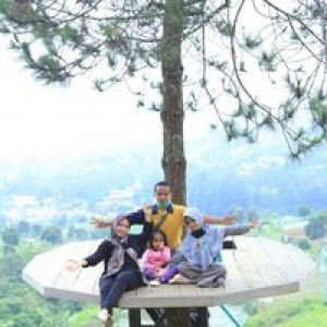 Dewi Wulansari profile icon