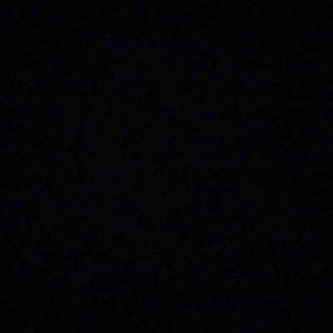 Widya Syarifah profile icon