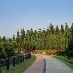 Azidah Ahmad profile icon